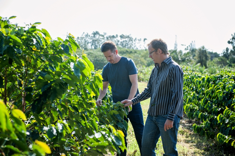 A History of South African Coffee Farming Coffee Magazine